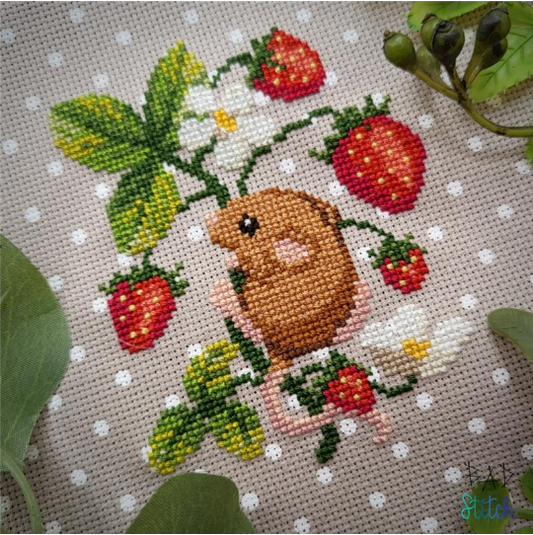 Strawberry Season Printed Pattern